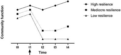 Understanding Societal Resilience—Cross-Sectional Study in <mark class="highlighted">Eight Countries</mark>